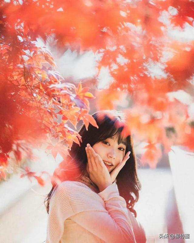 又是一年红叶季,人像照片拍高级,唯美浪漫有气质