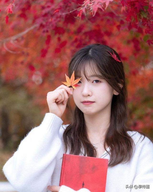 又是一年红叶季,人像照片拍高级,唯美浪漫有气质