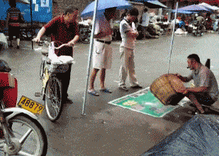 周冬雨脱了!上半身全裸“手也不遮”,破尺度大片引热议