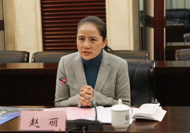 主政边境县7年,副厅级美女书记落马,曾在乡镇摸爬滚打十多年