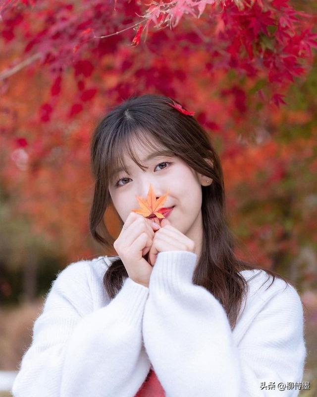 又是一年红叶季,人像照片拍高级,唯美浪漫有气质