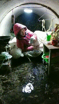 日本第一美女!石原里美,宅男的梦中情人!