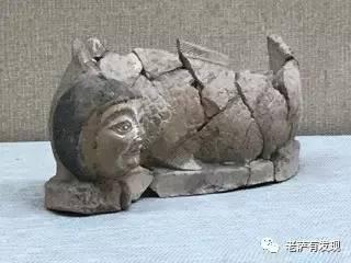 说起来你可能不信，中国本土的美人鱼就长这样
