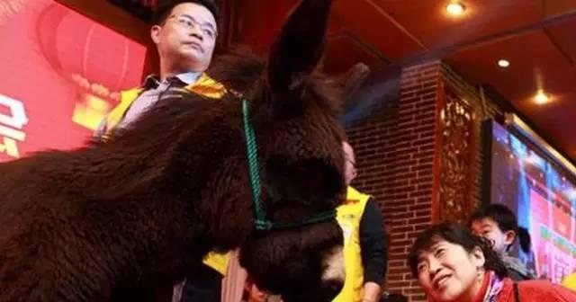 棺材还是波多野结衣？这年终奖也真是醉了....