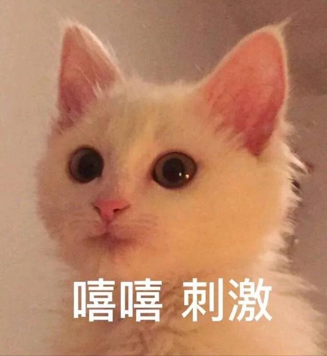 影视剧中吻戏名场面!谁是你心中的「吻戏扛把子」?