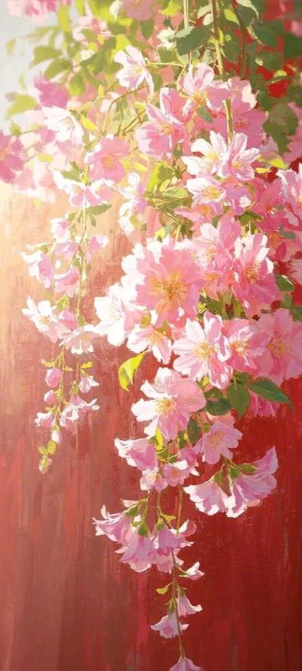 墙外无名小花美图手机壁纸