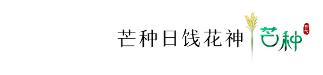 今日，芒种