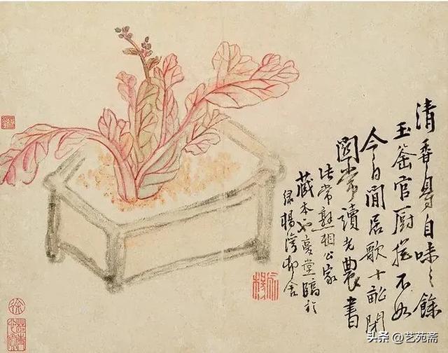 古今书画鉴赏|清代著名画家李鱓粗笔花卉十二册,墨色淋漓…
