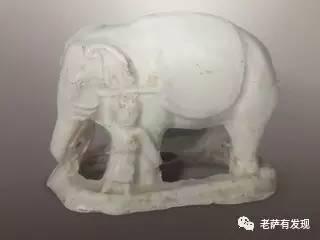 说起来你可能不信，中国本土的美人鱼就长这样