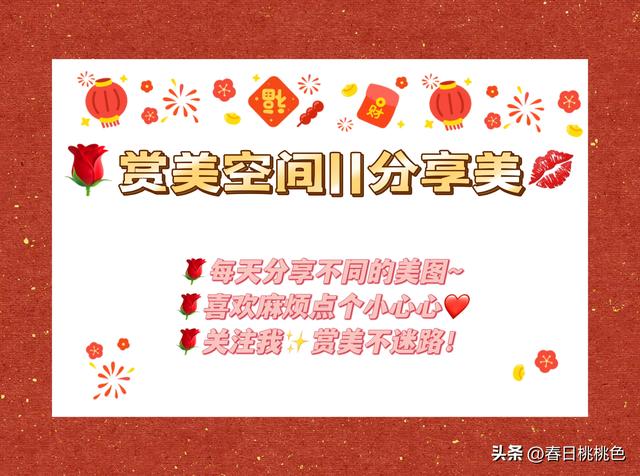 浓颜系美女古丽娜扎|泳池随拍