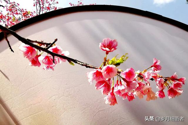 一枝红杏（微小说）