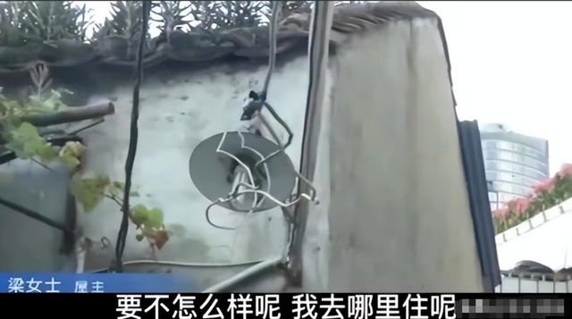 盘点钉子户 :金溪之眼 海珠之眼 左小诅咒造谣事件