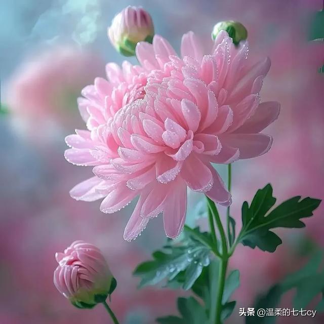 人生千千结，就有千千劫，你的结，就是你的劫