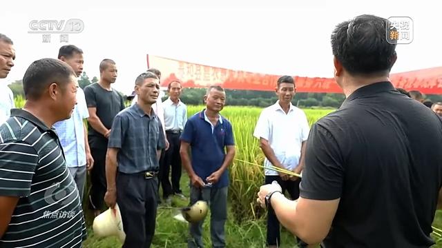 焦点访谈丨盐碱地里种出高产大豆 丰收的“密码”是什么?