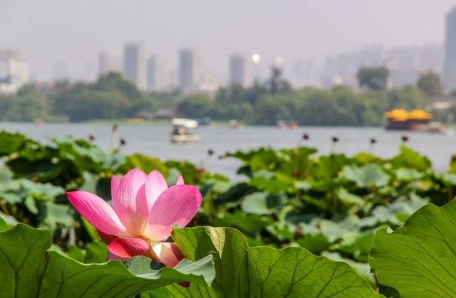 还记得大明湖畔的夏雨荷吗？婚姻不只如初见啊