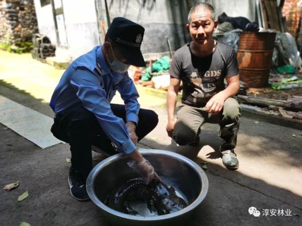 浙江发现一“四脚怪物”，村民们炸锅了！有人想花高价买下它