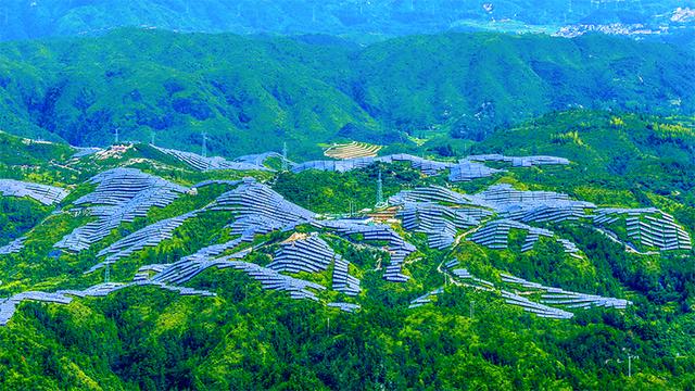 国家电网有限公司举行2025年老同志新春茶话会