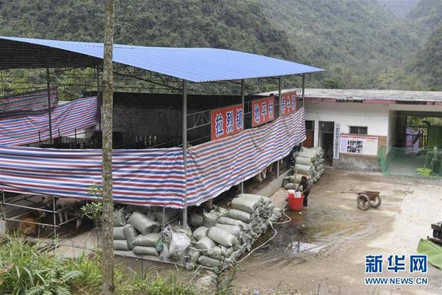 为了“地平”不再贫——追记都安瑶族自治县地平村第一书记黄景教