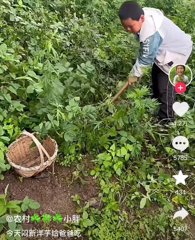 年轻人的“精致羞耻”，竟然被一群10后小孩哥小孩姐治好了