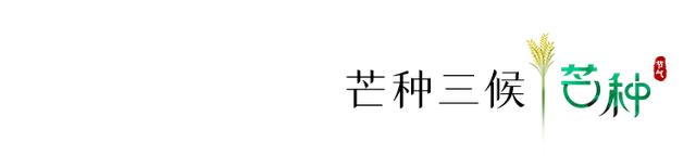 今日，芒种