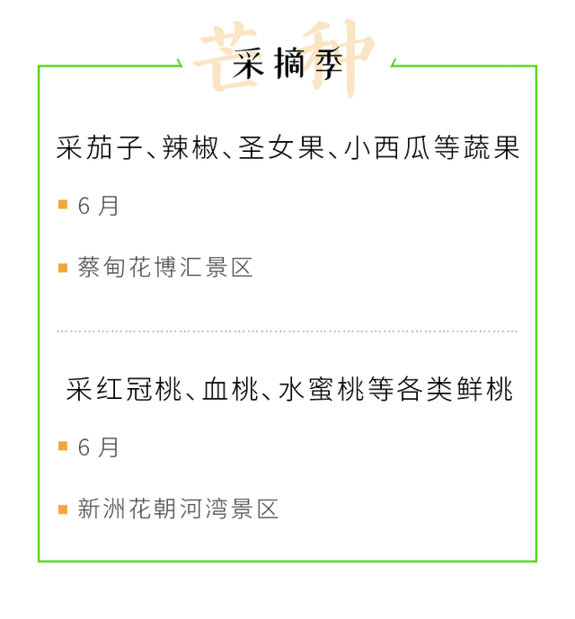 今日，芒种