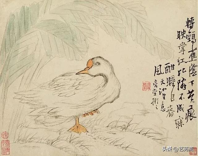 古今书画鉴赏|清代著名画家李鱓粗笔花卉十二册,墨色淋漓…