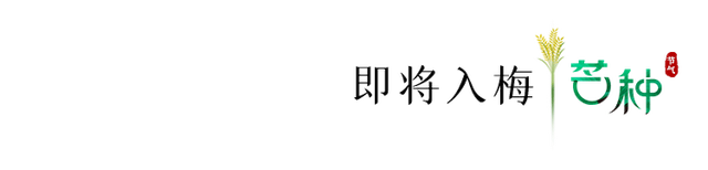 今日，芒种