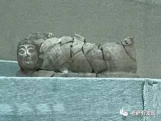 说起来你可能不信，中国本土的美人鱼就长这样