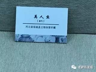 说起来你可能不信，中国本土的美人鱼就长这样