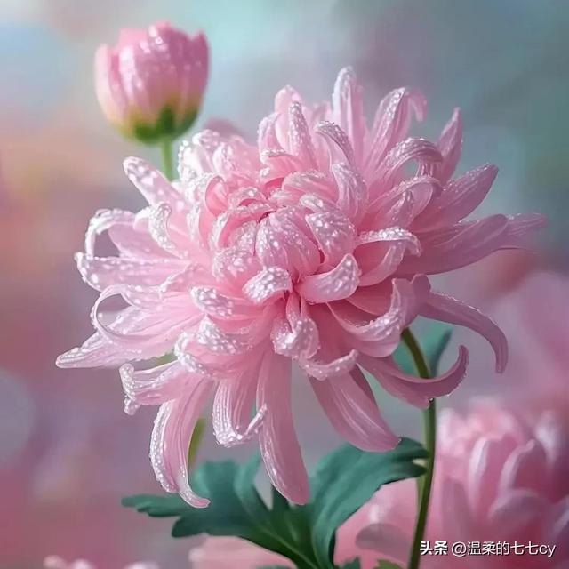 人生千千结，就有千千劫，你的结，就是你的劫