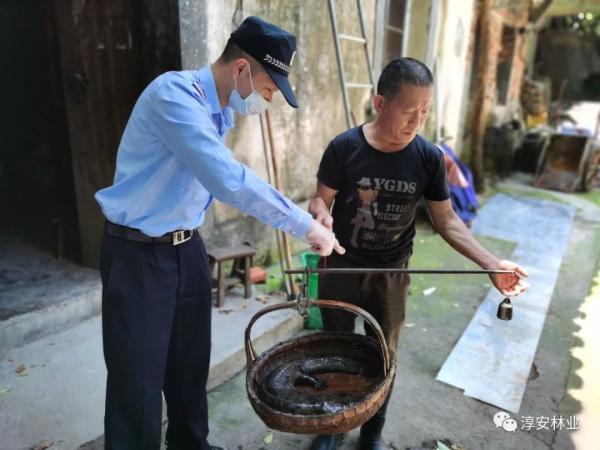 浙江发现一“四脚怪物”，村民们炸锅了！有人想花高价买下它