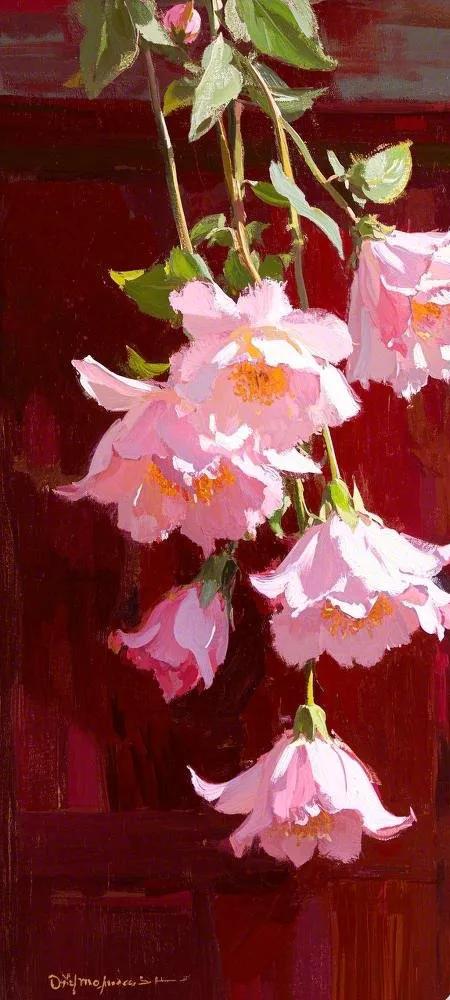 墙外无名小花美图手机壁纸