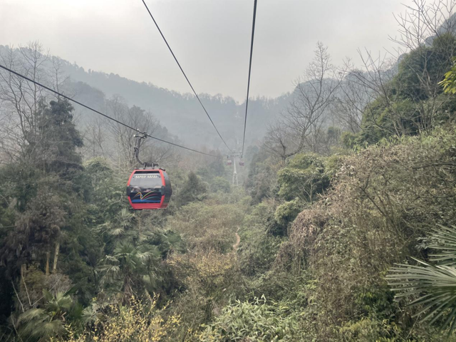 IPO观察｜青都旅游：疫情影响短期难消解 募投演艺项目欲破业绩“天花板”