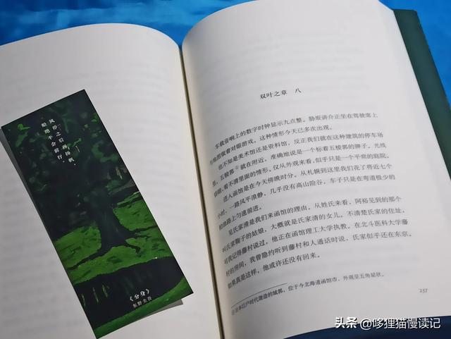 阅读分享 小说《分身》作者:东野圭吾 双线叙事