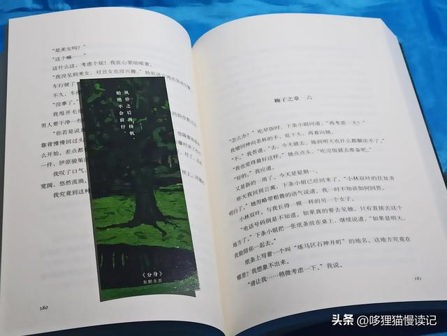 阅读分享 小说《分身》作者:东野圭吾 双线叙事