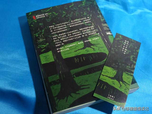 阅读分享 小说《分身》作者:东野圭吾 双线叙事