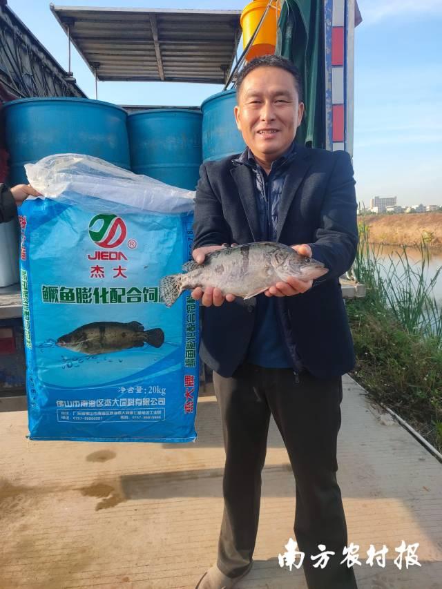 从加州鲈料到鳜鱼料,行业领导者杰大今年要做什么布局?