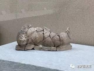 说起来你可能不信，中国本土的美人鱼就长这样