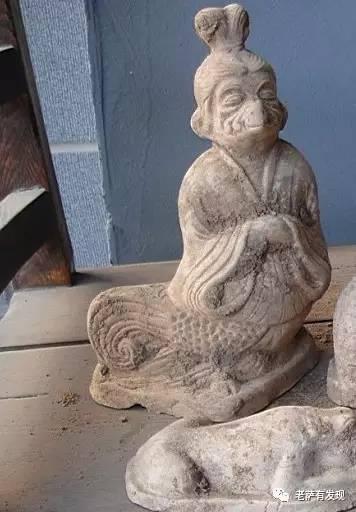 说起来你可能不信，中国本土的美人鱼就长这样