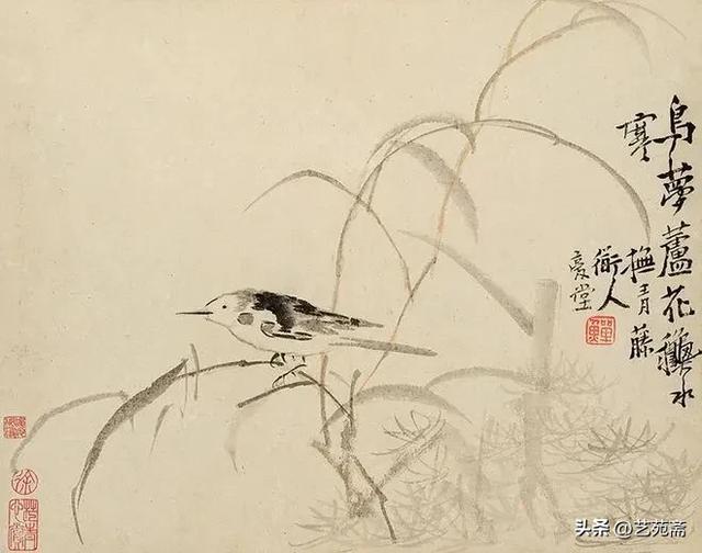 古今书画鉴赏|清代著名画家李鱓粗笔花卉十二册,墨色淋漓…