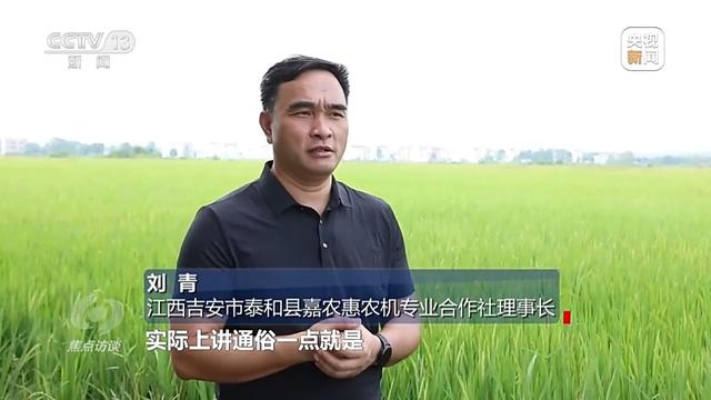 焦点访谈丨盐碱地里种出高产大豆 丰收的“密码”是什么?