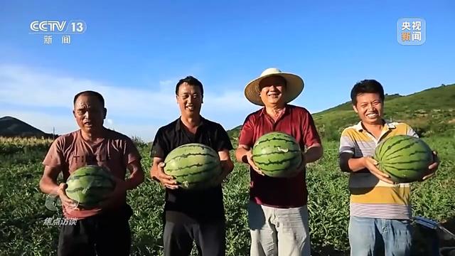 焦点访谈丨盐碱地里种出高产大豆 丰收的“密码”是什么?