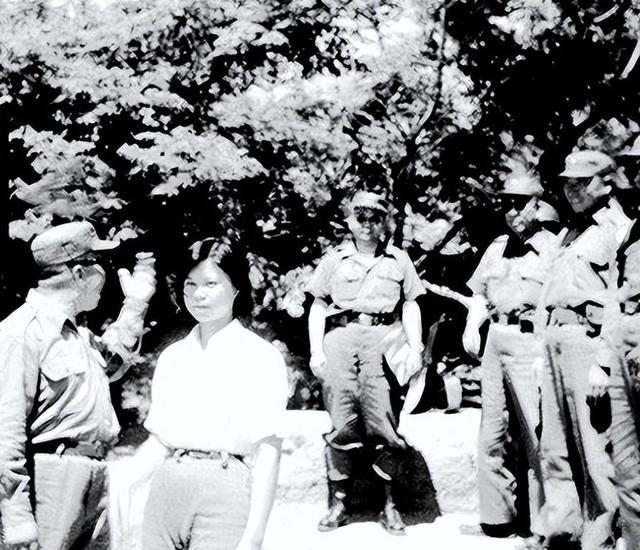败退台湾后,几十万国军要结婚,蒋介石:不许结,建“军中乐园”