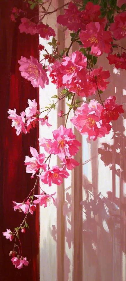 墙外无名小花美图手机壁纸
