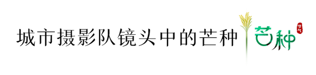 今日，芒种