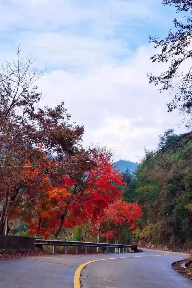 忘掉贵庚,乐享人生,细数一下岳母的幸福生活