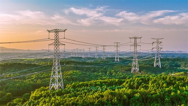国家电网有限公司举行2025年老同志新春茶话会