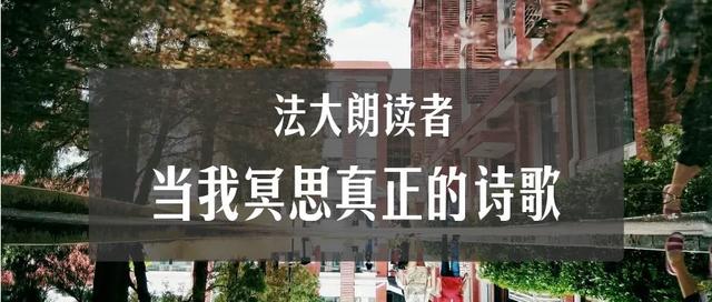 法大朗读者|阿毛:当我冥思真正的诗歌