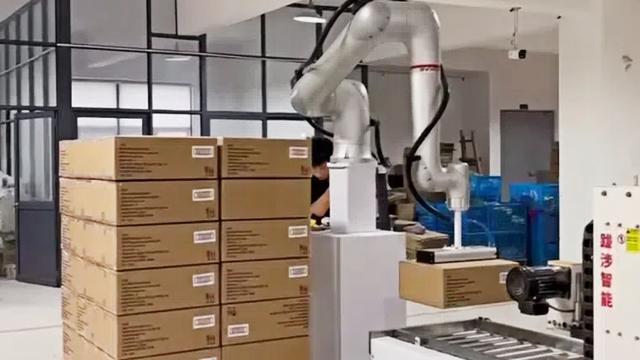 珞石机器人与大视智能达成战略合作，共绘柔性码垛新蓝图！
