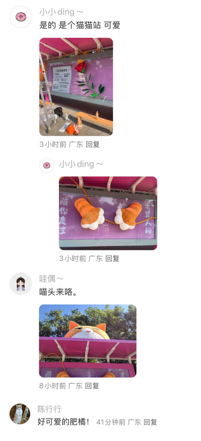 谁是OH雅琴？东莞人都在找你！｜莞有料